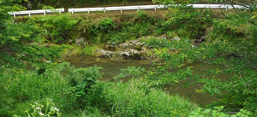 ホタルのいる河